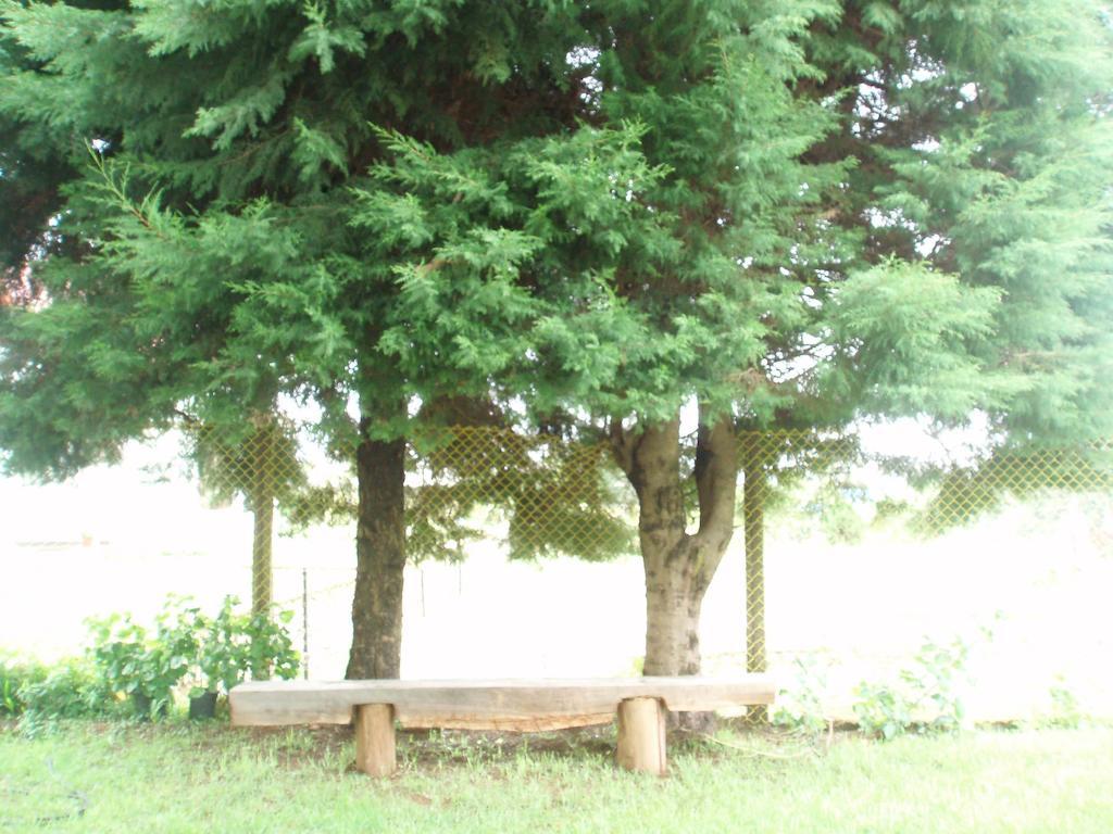 Bed and Breakfast Hill View Bungalow Nuwara Eliya Exterior foto
