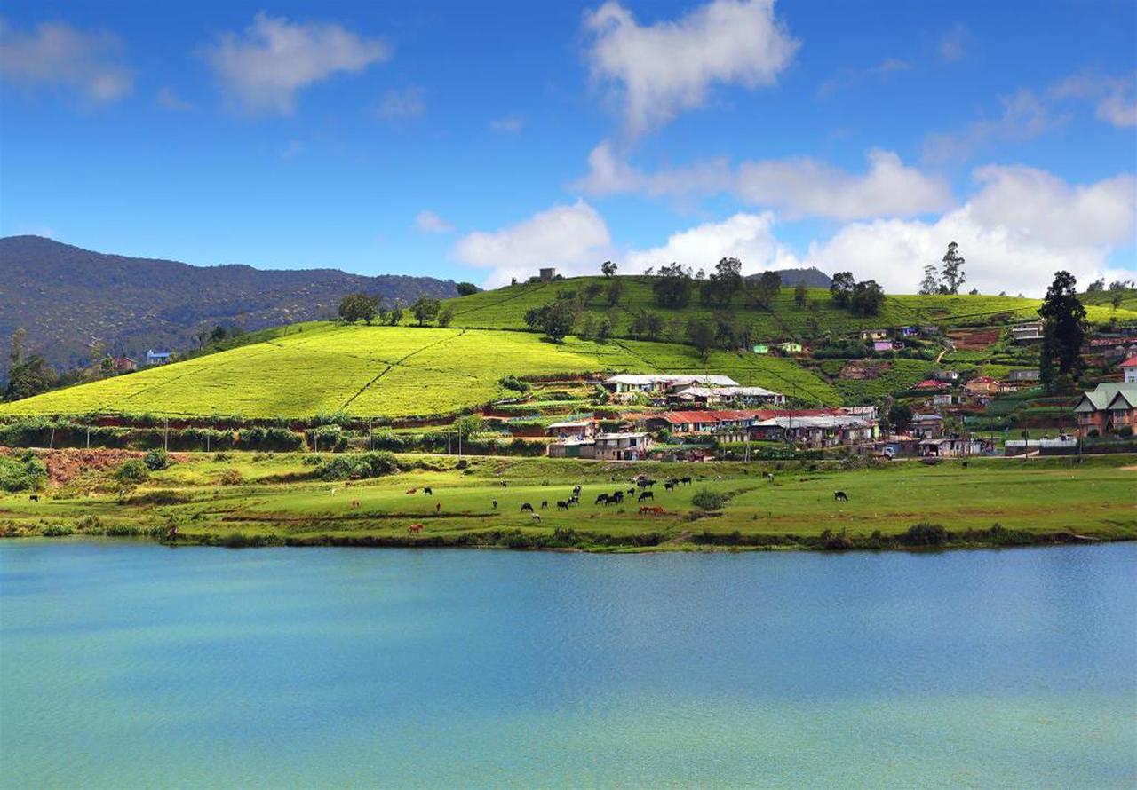 Bed and Breakfast Hill View Bungalow Nuwara Eliya Exterior foto